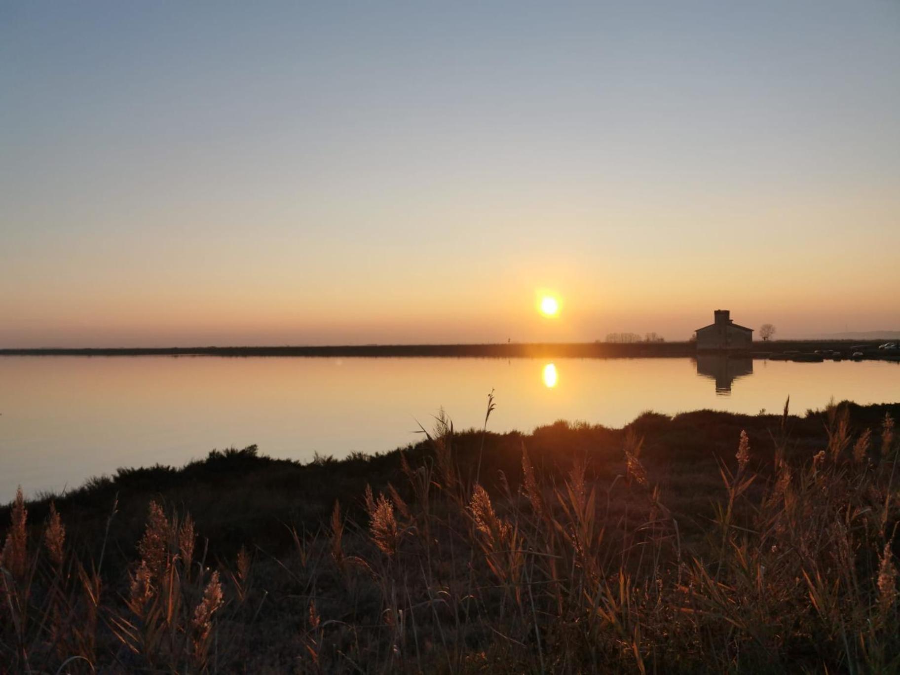 Comacchio Experience - Ospitalita Diffusa Lido di Pomposa Ngoại thất bức ảnh